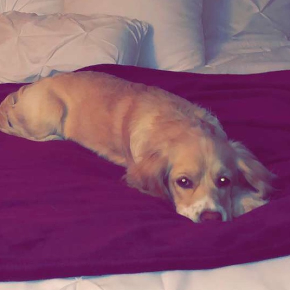 Meet your Posher, Shannon